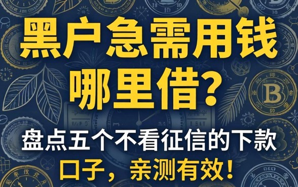 黑户急需用钱哪里借？盘点五个不看征信的下款口子，亲测有效！