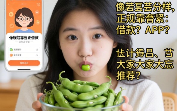 最近手头紧想找个像芸豆分那样正规靠谱的借款APP，大家有推荐吗？
