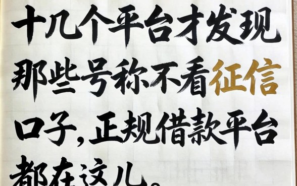 我试了十几个平台才发现，那些号称不看征信的口子，正规借款平台都在这儿