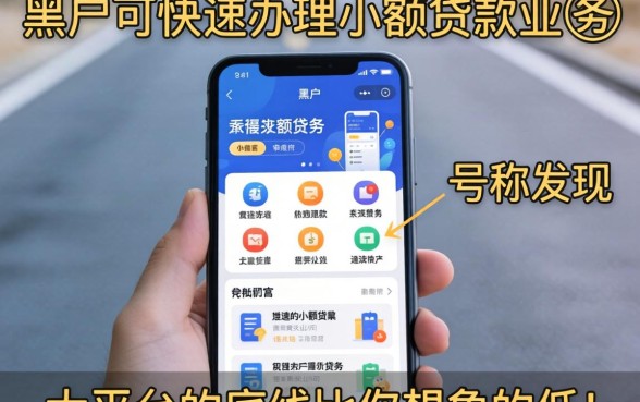 我试了那些号称黑户可快速办理小额贷款业务的软件，发现大平台的底线比你想象的要低