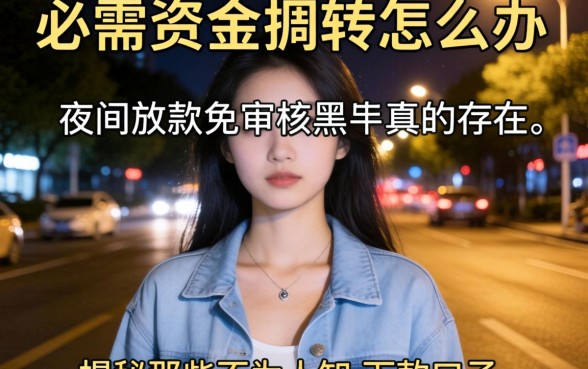 深夜急需资金周转怎么办？夜间放款免审核黑户2026真的存在吗？揭秘那些不为人知的下款口子