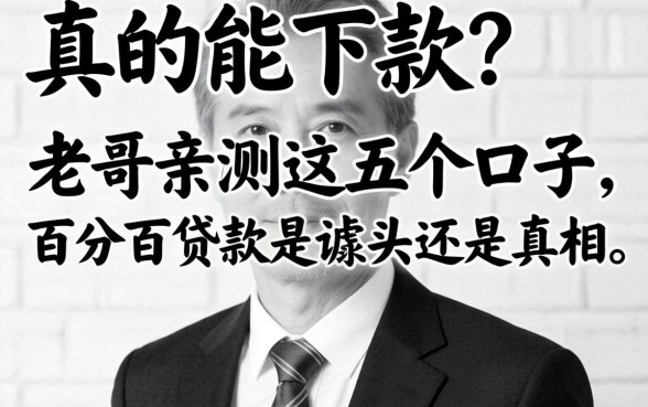 无视黑白真的能下款？老哥亲测这五个口子，百分百贷款是噱头还是真相？