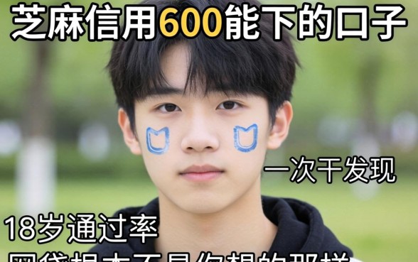 我试了几个芝麻信用600能下的口子，发现18岁通过率的网贷根本不是你想的那样