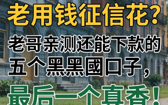 急用钱征信花？老哥亲测2026还能下款的五个黑户囗子，最后一个真香！