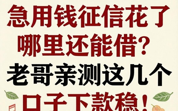 急用钱征信花了哪里还能借？老哥亲测这几个口子下款稳！