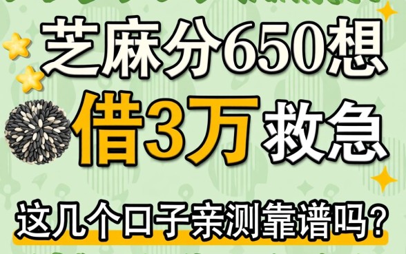 芝麻分650想借3万救急，这几个口子亲测靠谱吗？