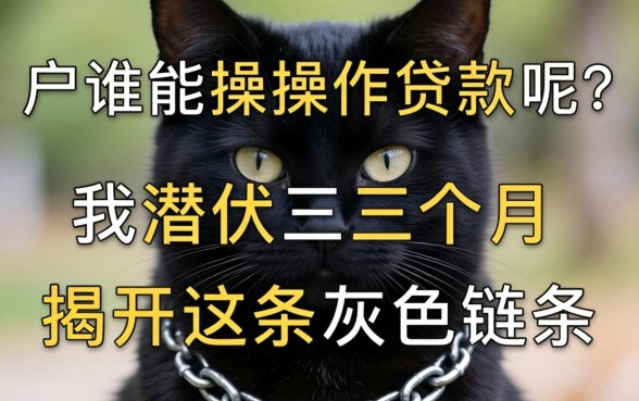黑户谁能操作贷款呢？我潜伏三个月揭开这条灰色链条