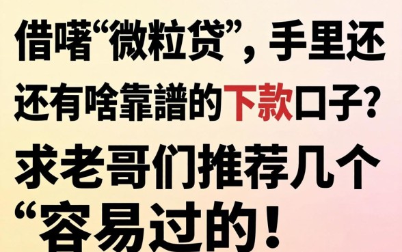 除了借呗微粒贷，手里还有啥靠谱的下款口子？求老哥们推荐几个容易过的！