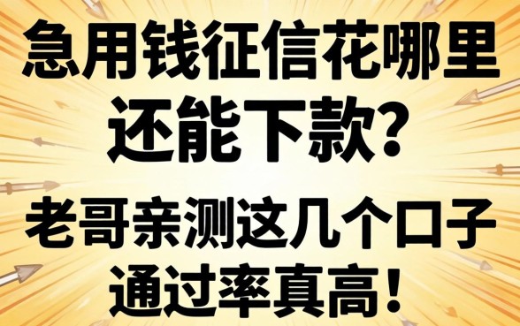 急用钱征信花哪里还能下款？老哥亲测这几个口子通过率真高！