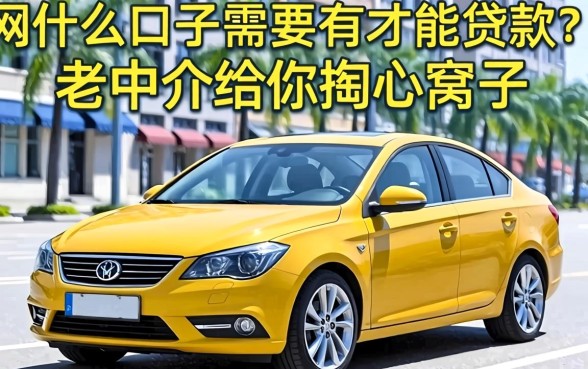 网贷什么口子需要有车才能贷款？老中介给你掏心窝子
