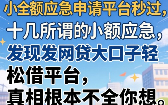 我试了十几个所谓的小额应急申请平台秒过，发现网贷大口子轻松借平台的真相根本不是你想的那样