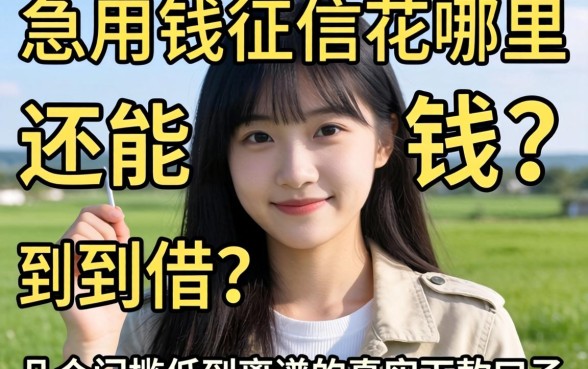 急用钱征信花哪里还能借到钱？分享几个门槛低到离谱的真实下款口子