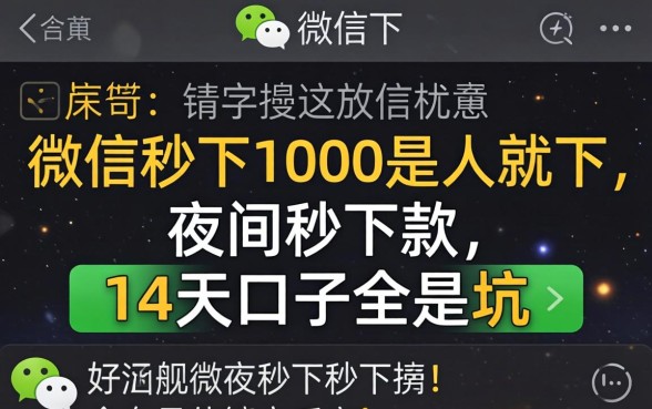 我试了微信秒下1000是人就下2026，发现夜间秒下款的14天口子全是坑