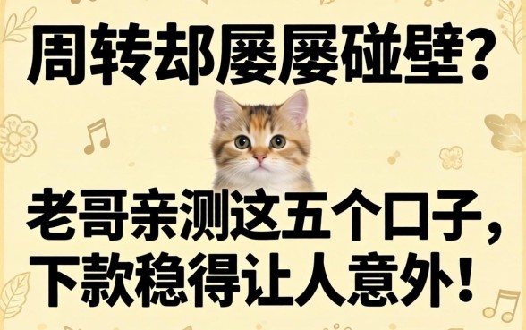 急需周转却屡屡碰壁？老哥亲测这五个口子，下款稳得让人意外！
