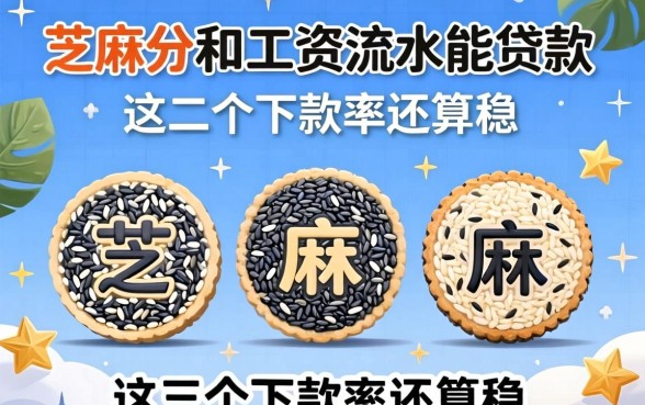 芝麻分和工资流水能贷款的平台，这几个下款率还算稳