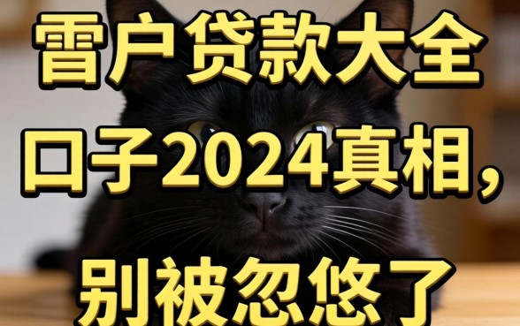 黑户贷款大全口子2024真相：别被忽悠了