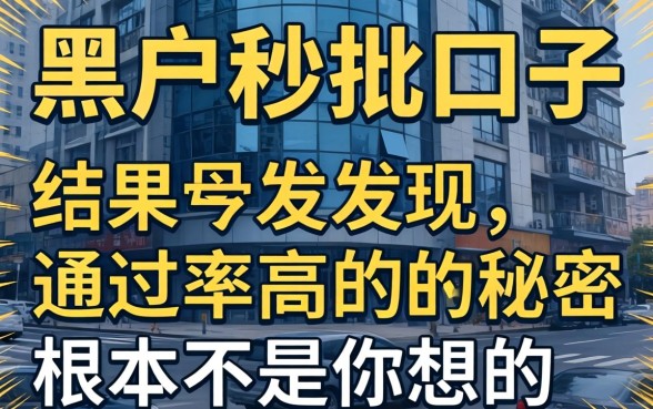 我试了几个号称黑户秒批的口子，结果发现通过率高的秘密根本不是你想的那样