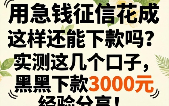 急用钱征信花成这样还能下款吗？实测这几个口子，黑户下款3000元经验分享！