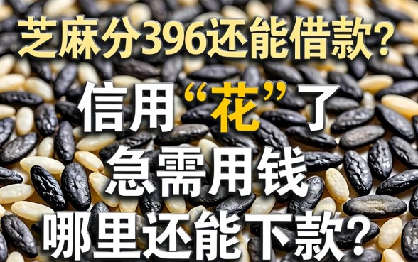 芝麻分396还能借款吗？信用“花”了急需用钱哪里还能下款？