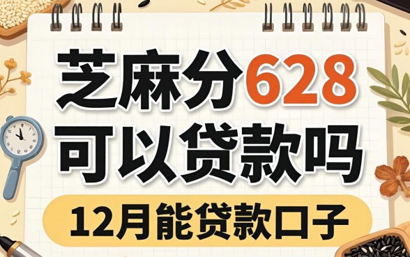 芝麻分628可以贷款吗，概括5个12月能贷款的口子