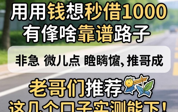 急用钱想秒借1000有啥靠谱路子?老哥们推荐这几个口子实测能下!