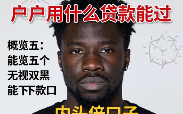 黑户用什么贷款能过，概览五个无视双黑能下款的口子