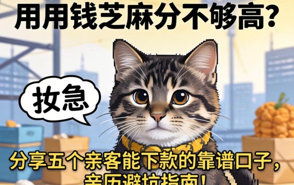 急用钱芝麻分不够高？分享五个亲测能下款的靠谱口子，亲历避坑指南！