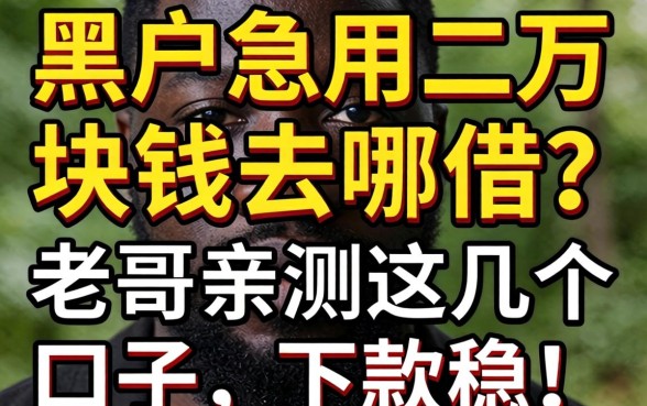 黑户急用二万块钱去哪借？老哥亲测这几个口子，下款稳！