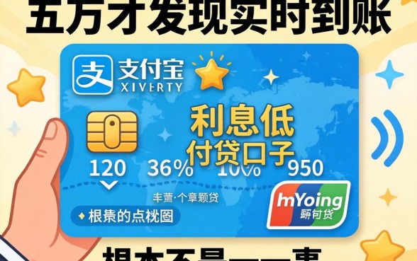 我借了五万才发现，支付宝实时到账和利息低的网贷口子根本不是一回事