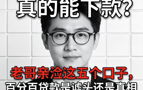 无视黑白真的能下款？老哥亲测这五个口子，百分百贷款是噱头还是真相？