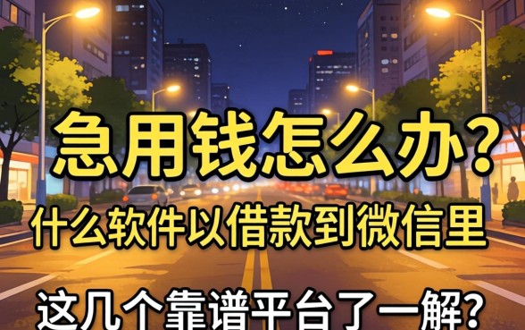 深夜急用钱怎么办？什么软件可以借款到微信里？这几个靠谱平台了解一下