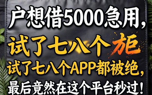 纯白户想借5000急用,试了七八个APP都被拒,最后竟然在这个平台秒过!