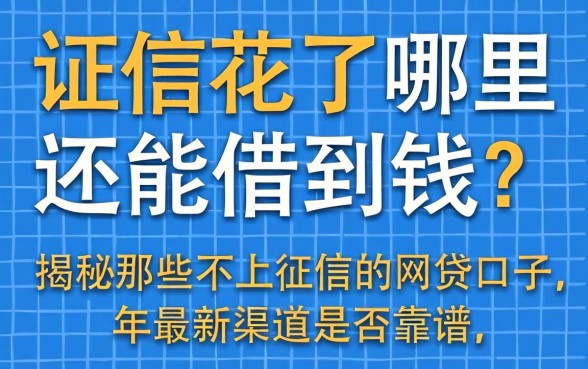 征信花了哪里还能借到钱？揭秘那些不上征信的网贷口子，2026年最新渠道是否靠谱？