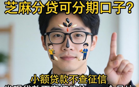 我试了芝麻分贷可分期的口子，发现小额贷款不查征信的app全是坑