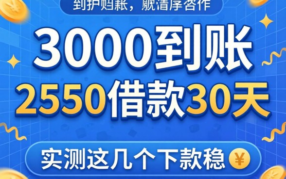 揭秘3000到账2550借款30天2026,实测这几个下款稳