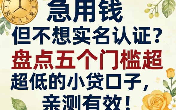 急用钱但不想实名认证？盘点五个门槛超低的小贷口子，亲测有效！