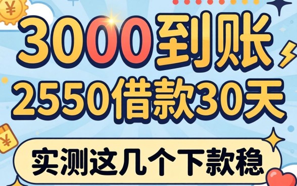 揭秘3000到账2550借款30天2026,实测这几个下款稳