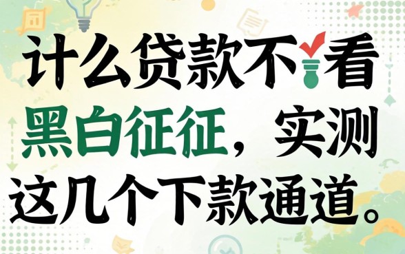 揭秘什么贷款不看黑白征信，实测这几个下款通道