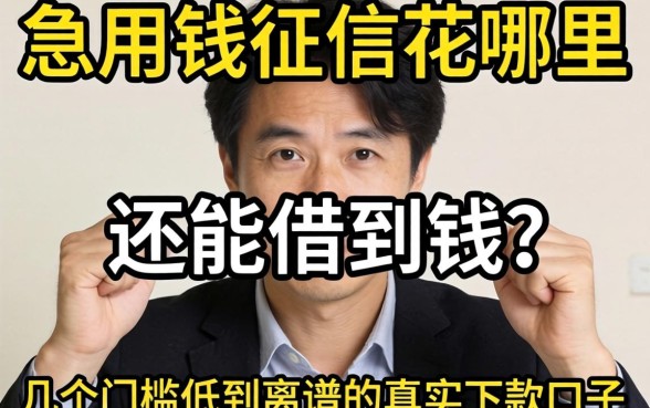 急用钱征信花哪里还能借到钱？分享几个门槛低到离谱的真实下款口子