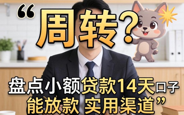 急需周转？盘点小额贷款14天口子能放款的实用渠道