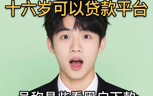 我试了那些号称十六岁可以贷款平台和不看黑户下款的软件，结果有些意外