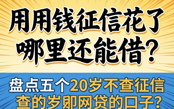 急用钱征信花了哪里还能借?盘点五个20岁不查征信的网贷口子