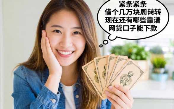 手头紧想借个几万块周转，现在还有哪些靠谱的网贷口子能下款？
