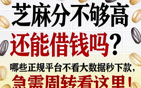 芝麻分不够高还能借钱吗？哪些正规平台不看大数据秒下款，急需周转看这里！