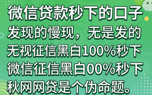 我试了微信贷款秒下的口子，发现无视征信黑白100%秒下网贷是个伪命题