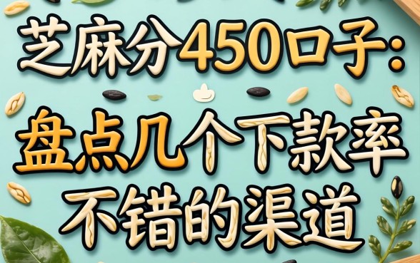 芝麻分450的口子：盘点几个下款率不错的渠道