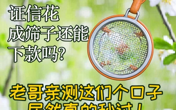 征信花成筛子还能下款吗？老哥亲测这几个口子居然真的秒过！