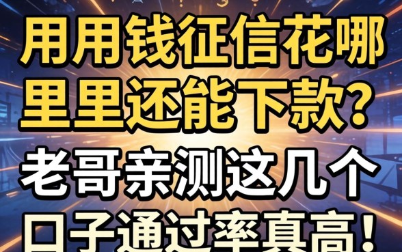急用钱征信花哪里还能下款？老哥亲测这几个口子通过率真高！