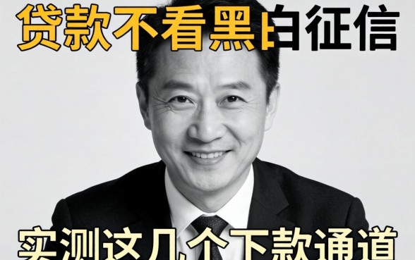 揭秘什么贷款不看黑白征信，实测这几个下款通道