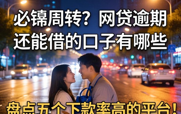深夜急需周转？网贷逾期 还能借的口子有哪些？盘点五个下款率高的平台